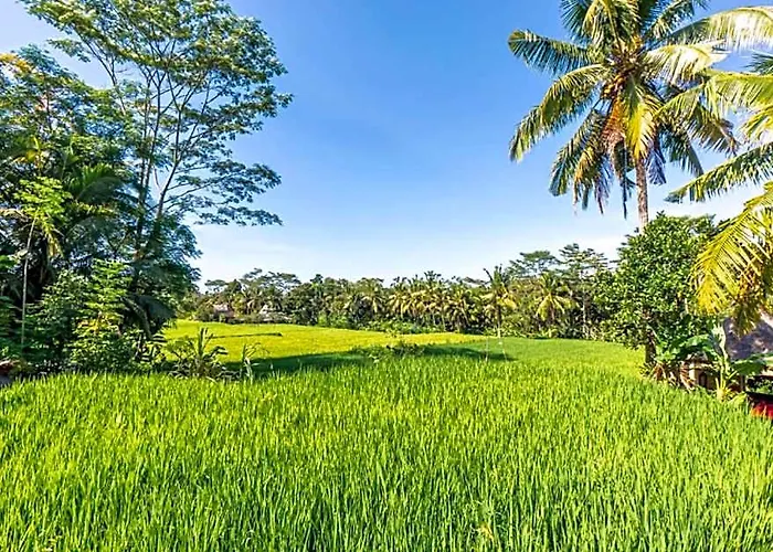Comfortable 1 Bedroom Private Mountain View Zn36