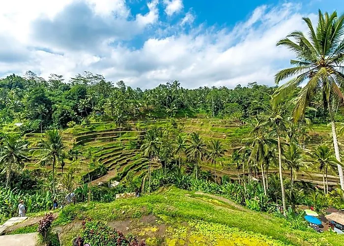 Comfortable 1 Bedroom Private Mountain View Zn36 * Kelusa